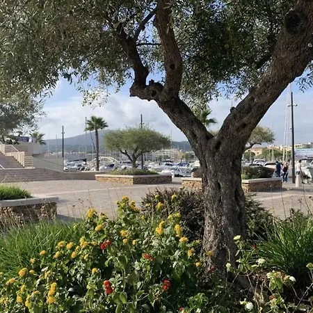 Daire En Mezzanine, Climatisation - 2 Pers. - Fr-1-226-569 Sainte-Maxime